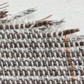 H&auml;nsel (paardenhaar)